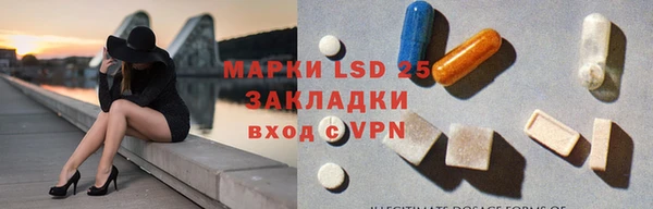 прущие грибы Белоозёрский