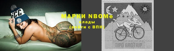 прущие грибы Белоозёрский