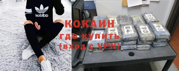 прущие грибы Белоозёрский