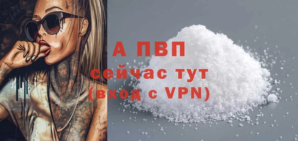 прущие грибы Белоозёрский