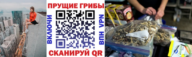 даркнет сайт  Верхотурье  Псилоцибиновые грибы мицелий 